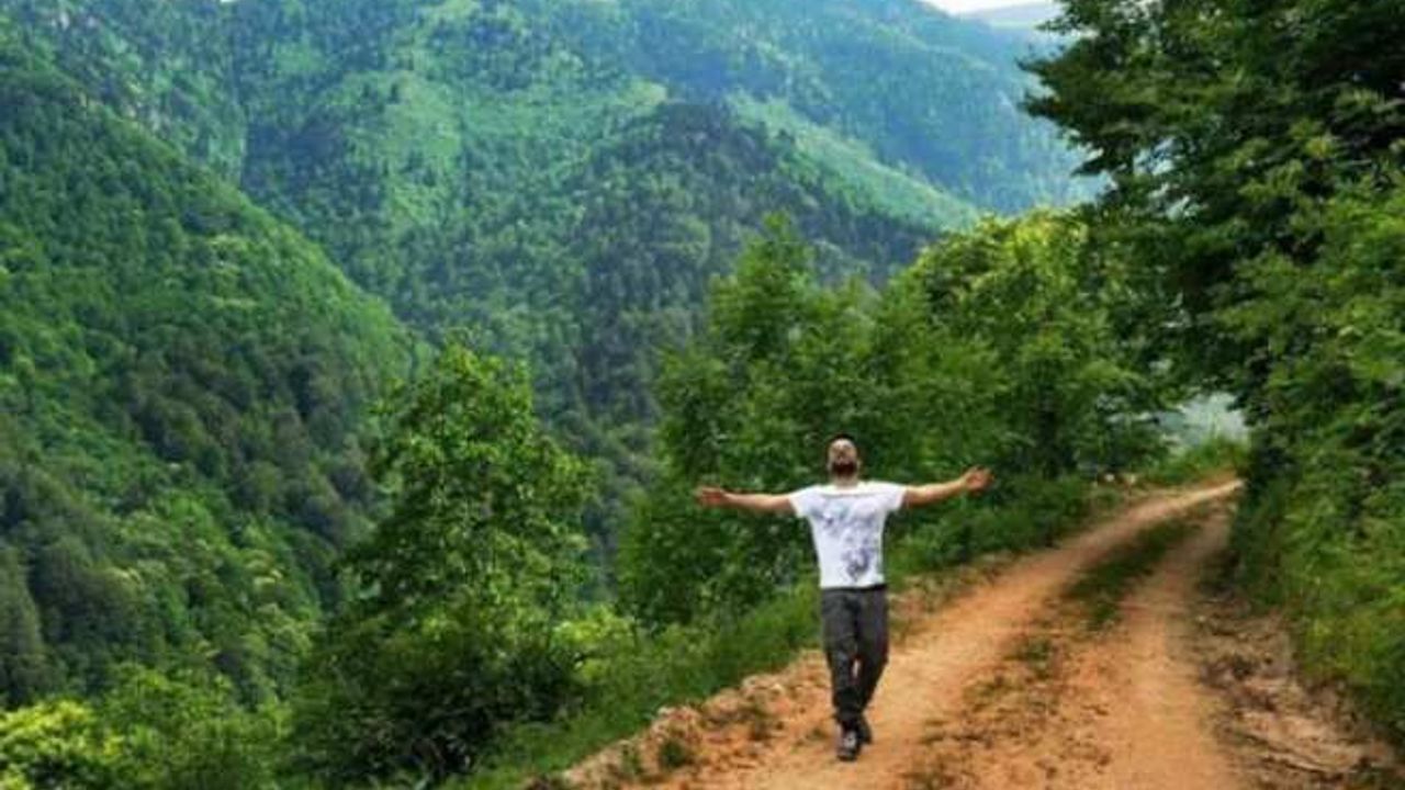 Tarkan, Akbelen Ormanı’ndaki ağaç kesime tepki gösterdi: Rahat bırakın doğayı artık