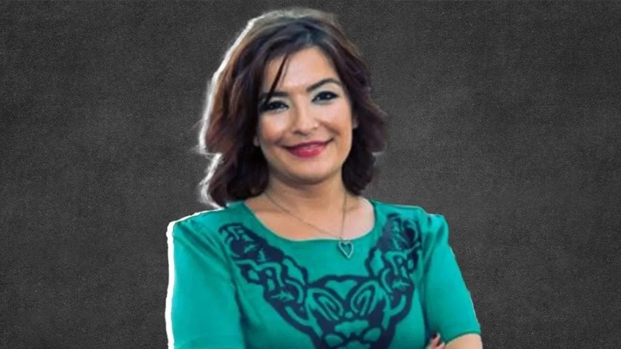 Tiyatroya giderken "Cumhurbaşkanına hakaret"ten tutuklandığı iddia edilen akademisyenin avukatları konuştu