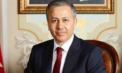 Vali Yerlikaya: 547 düzensiz göçmen yakalandı