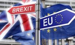 İngiltere'nin Brexit Bakanı istifa etti