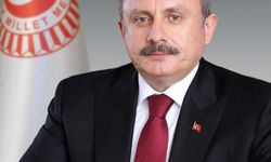 15 Temmuz ödül töreninde 4 gazeteciye farklı uygulama