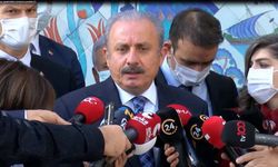 Şentop: Hiç kimse milletimizin temsil makamı olan TBMM'yi propagandasının parçası kılamaz