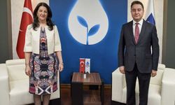 Pervin Buldan'dan Ali Babacan'a ziyaret