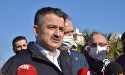 Bakan Pakdemirli: Satılamayan kurbanlıkları Et ve Süt Kurumu alacak
