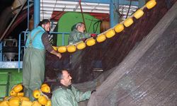 Hamsi avı yeniden başladı