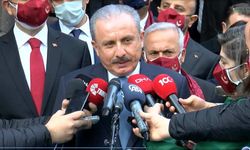 "33 fezleke Meclis'e ulaştı, içinde HDP'li vekillerin de var"