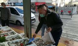 Hamsi sürpriz yaptı!
