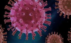 Covid hapının acil kullanım onayı için FDA'ya başvuru yapıldı