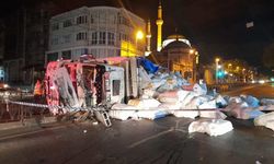 Kumaş yüklü kamyon devrildi