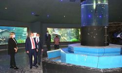 Deniz Dünyası'nda balıklara dokunulabilecek