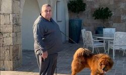 "Galiba Kıbrıs’ta kıyamet kopmak üzere" diyen Sedat Peker, Falyalı için hangi iddialarda bulunmuştu?
