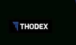 Thodex'in finans müdürlüğünde görevli Rana Azap'ın tutuklanması talebi reddedildi