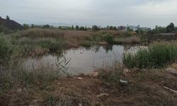 Otomobil dereye düştü: 3 kişi öldü, bir kişi yaralandı