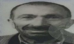 Ayı mı parçaladı?
