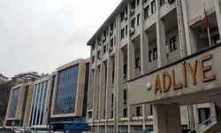 Üvey kardeşlere ceza yağdı