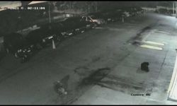 “Katil Doğanlar” filmine örnek bir kişilik