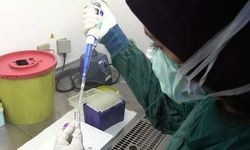 Uzmanlar araştırdı; stres antikor oranını düşürüyor