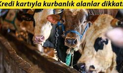 Diyanet kurbanlığın nakit alınmasını önerdi: İbadetle faiz bağdaşmaz