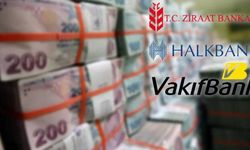 Hükümetin kamu bankalarını seçime hazırlamak istediği iddia ediliyor