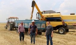 Kuraklık hububat rekoltesini düşürdü