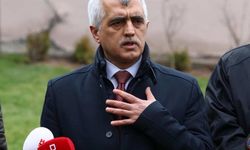HDP'li Gergerlioğlu: Hiç kimse bizi görmezlikten gelerek bir iş yapmaya kalkmasın