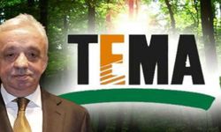 TEMA Vakfı, Cengiz Holding'in fidan bağışını geri çevirdi