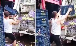Kasalarca kabağın çöpe atılmasına soruşturma