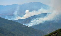 CHP’li Ağbaba: Tunceli'de 140 hektardan fazla alan yandı