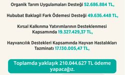 Tarım ve Orman Bakanlığı'ndan üreticilere 210 milyon liralık ödeme