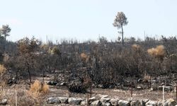 Manavgat yangınında can kaybı 8'e çıktı