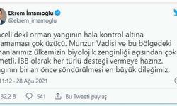 CHP Tunceli'de yangın bölgesinde inceleme yapacak