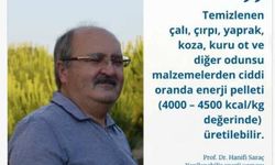 Orman yangınlarını önleme çalışmasıyla ekonomik girdi elde edilebilir!