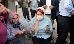 Akşener: Orman kundaklayanların 'terör suçlusu' sayılması için kanun teklifi hazırlayacağız