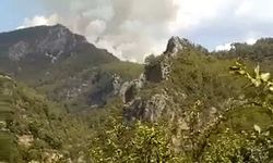 Alanya'da orman yangını 