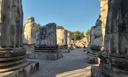 Apollon Tapınağı sütunları restore ediliyor