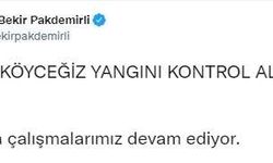 "Köyceğiz yangını kontrol altına alındı"