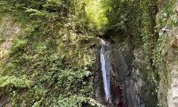 Ormanın derinliklerinde kalmış şelale turizme kazandırılacak