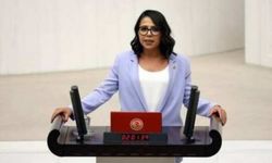 TİP milletvekili Kadıgil orman yangınlarına müdahale için yabancı ülkelerden gelen teklifleri sordu