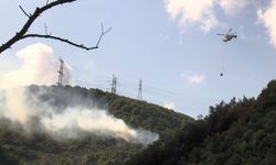 Sarıyer'de orman yangını