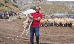 Hayvanları göçük altında kalan besiciye 35 küçükbaş hediye