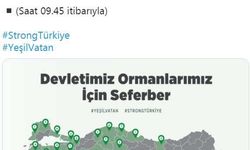 5 ildeki 12 yangına müdahale sürüyor