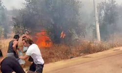 Kaş'ta çıkan yangında, 3 hektar zeytinlik yandı
