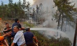 Manavgat'ta yangın Alara Çayı'nın Alanya tarafına risk doğuruyor