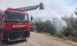 MSB: 400'den fazla Mehmetçik alevlere müdahale ediyor