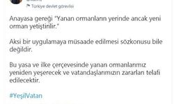 Sözcü Kalın: Yanan ormanlarımız yeniden yeşerecek