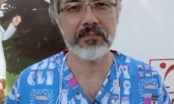 Yanan alanlarda besin zinciri kırıldı, vahşi yaşam yok oldu