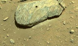 Mars’tan toplanan kaya örnekleri kızıl gezegende eskiden yaşam olduğu görüşünü güçlendiriyor
