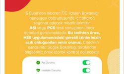 Pegasus ve THY’den 6 Eylül uyarısı: PCR testi zorunluluğu başlıyor