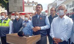 Bakan Kurum: Kastamonu, Sinop ve Bartın'da 952 konut ile 170 köy evi yapımına başlandı