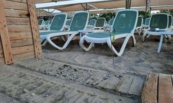 Carettaların ölümünde iki otele 482 bin 790 TL ceza
